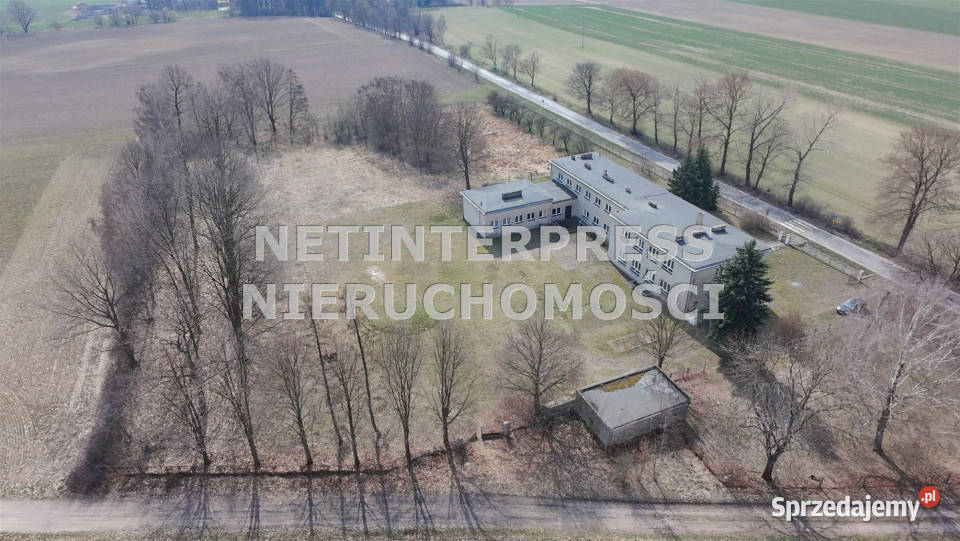 Lokal na sprzedaż 582 metry Domaszowice opolskie