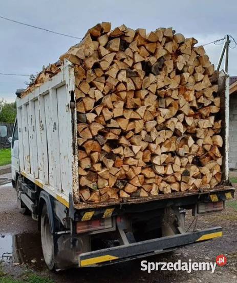 Różne rodzaje drewna opałowegokominkowego