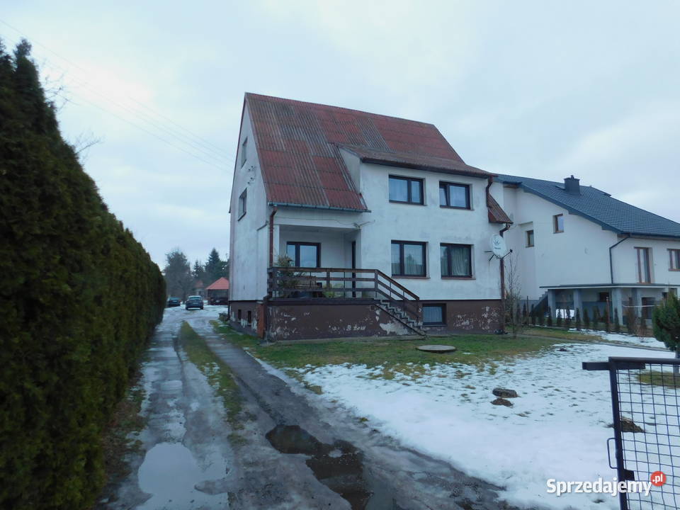 Syndyk sprzeda Brzóza 407zł/m2