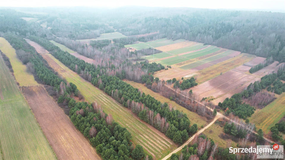 sprzedaży działki 10564m2 Wywłoczka polna Nieruchomości