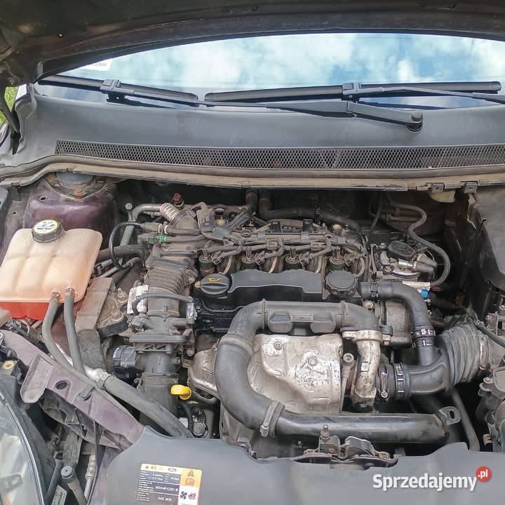 Ford Focus Zamiana 90KM sprzedam