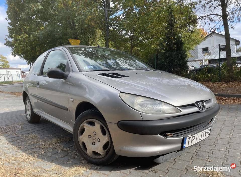 Peugeot 206 11 60 2001 LPG benzyna+LPG świętokrzyskie Pińczów