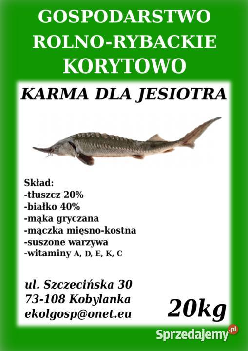 Karma pasza ryb karp koi pstrąg jesiotr Stargard