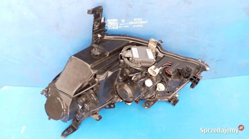 LAMPA REFLEKTOR PRAWY PRZÓD INFINITI M35 M45 Nowy Tomyśl