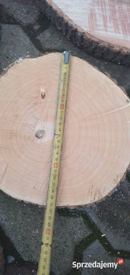Plastry drewna kujawsko-pomorskie Pakość sprzedam