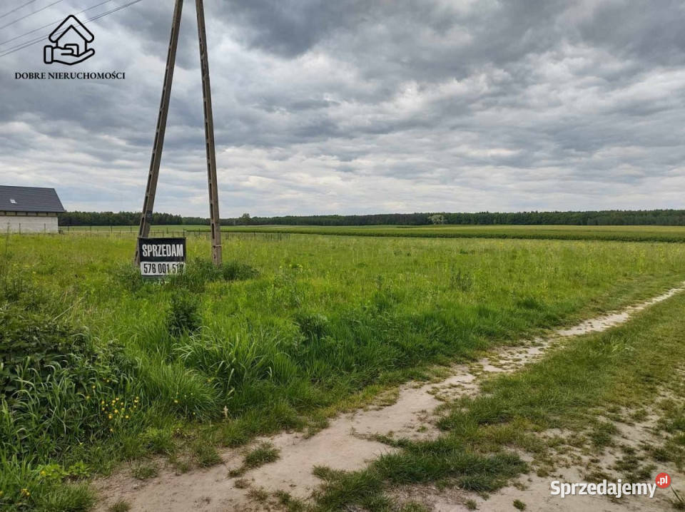 Ogłoszenie działka Zaborze 7683m2