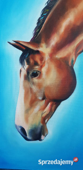 Oryginalne malarstwo olejne koń Nowy Sącz