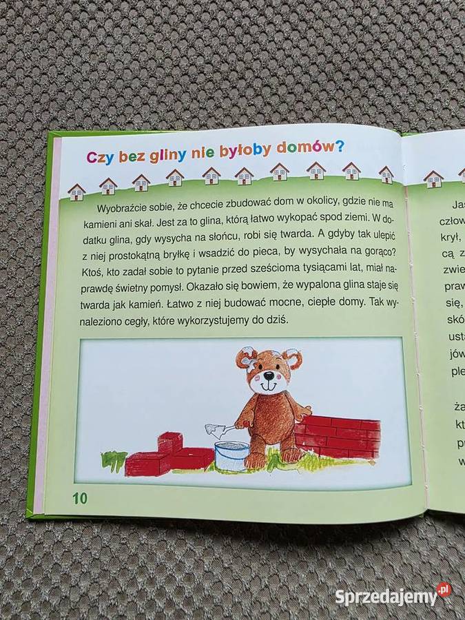 seria Zapytaj Misia o DOMY Kraków