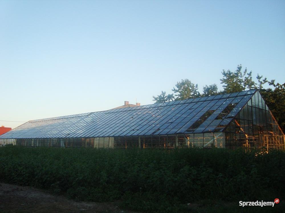 szklarnię do rozbiórki Wierzbica-Kolonia