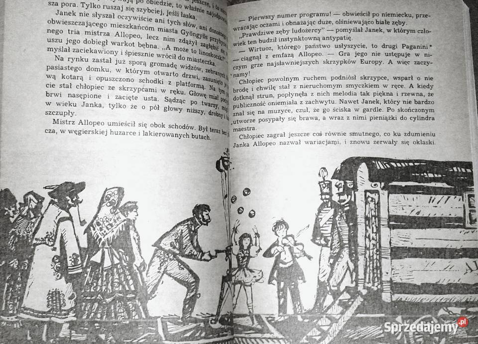 Trójkolorowa kokarda Jadwiga Chamiec