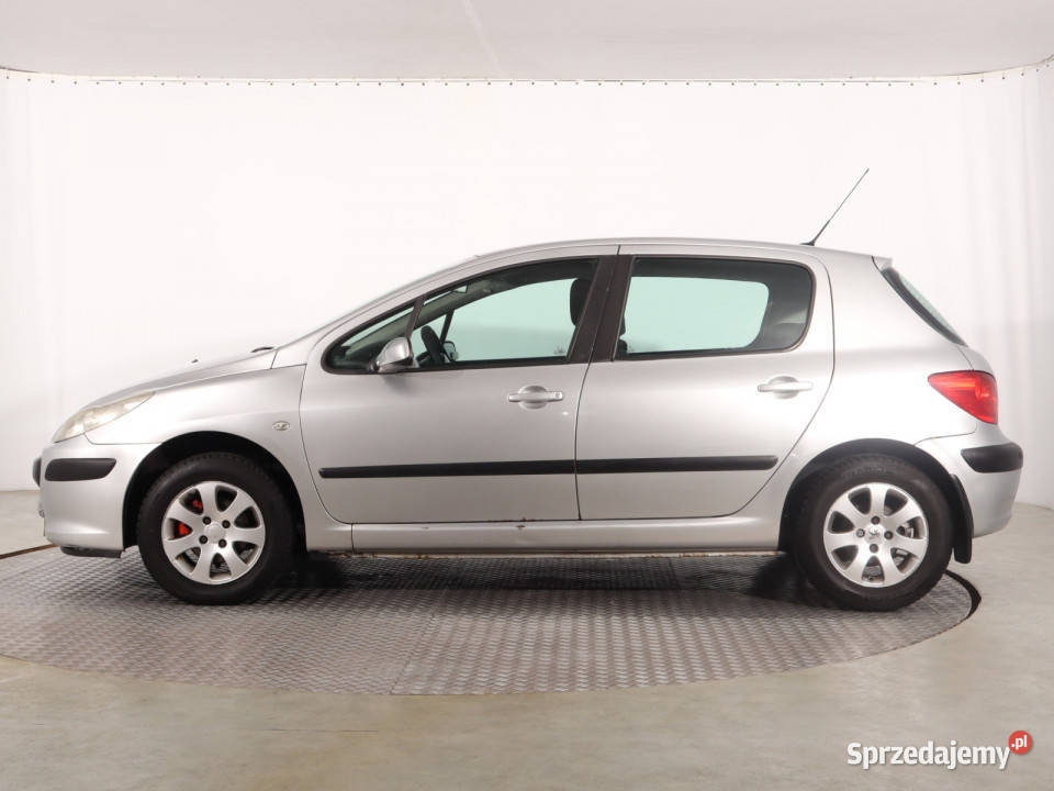 Peugeot 307 16 HDi centralny zamek Katowice