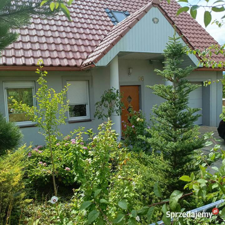Sprzedam dom 128 m2 jednorodzinny z 2017riku Głuchołazy