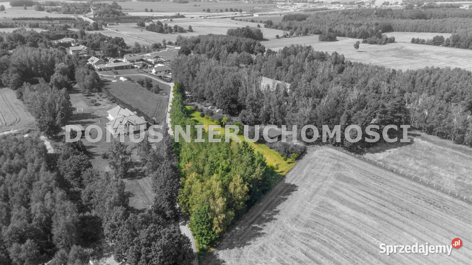 Grunt 3561m2 Jaroszki łódzkie