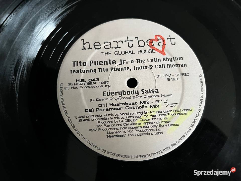 Tito Puente Jr The Latin Rhythm Everybody Salsa