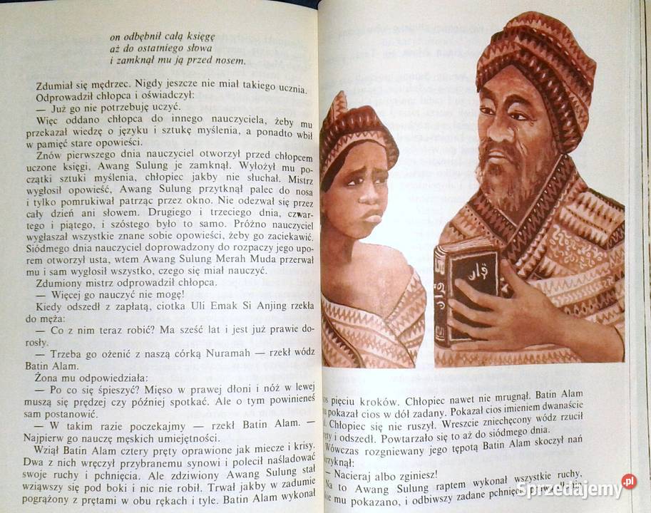 Skamieniały statek Baśnie malajskie Robert Chełm sprzedam