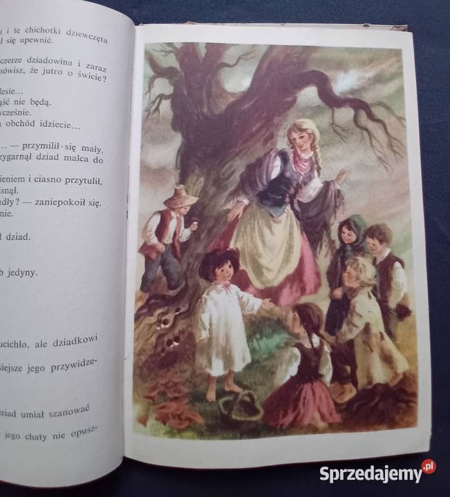 Ewa SzelburgZarembina Królestwo bajki Nasza Koźminek sprzedam