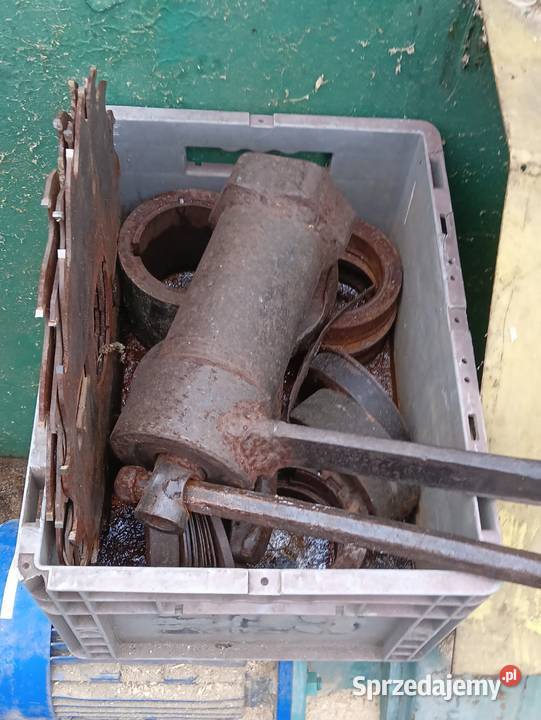 Wielopiła gąsienicowa zakłady leśnictwa pomorskie Wejherowo sprzedam