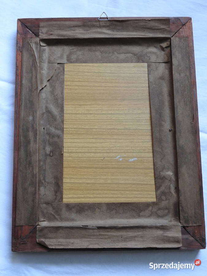 Obraz dziewczynki o niebieskich oczach ze łzą z śląskie Bytom sprzedam