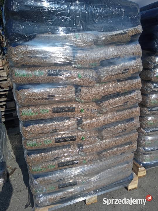 pelet Clear Września