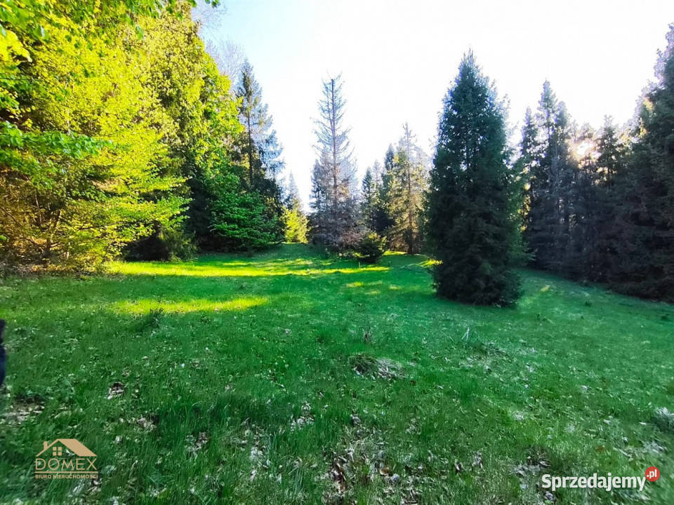 Grunt Ujsoły 5374m2 śląskie