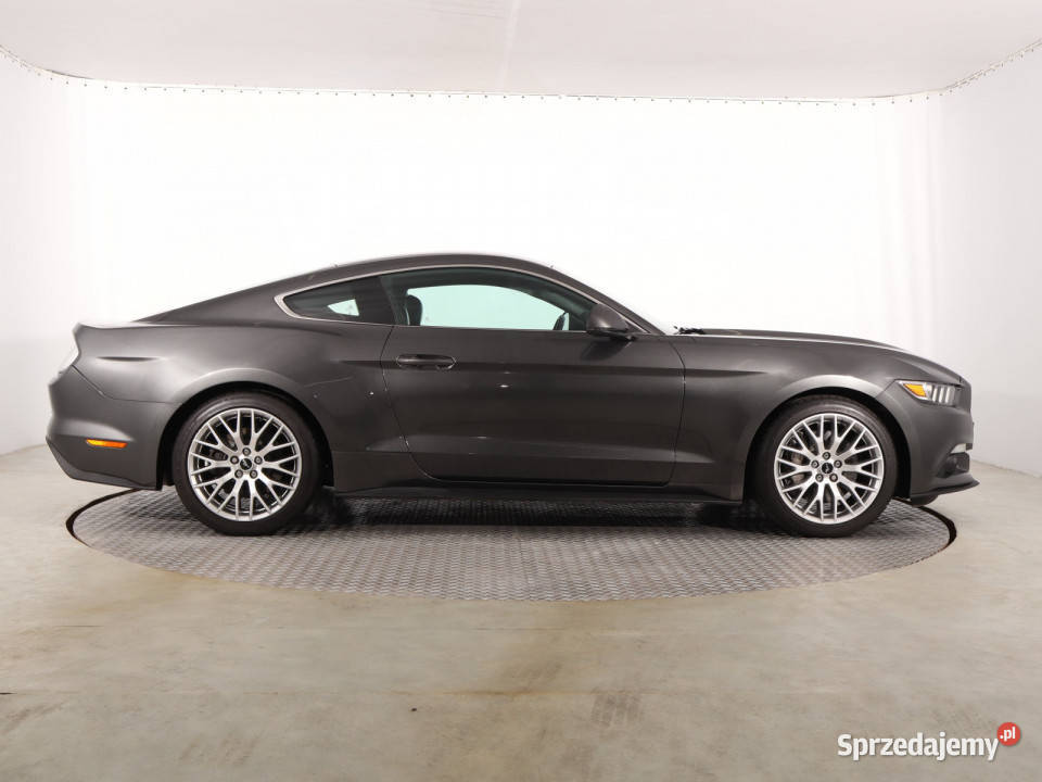 Ford Mustang 23 EcoBoost nieuszkodzony Mustang Katowice