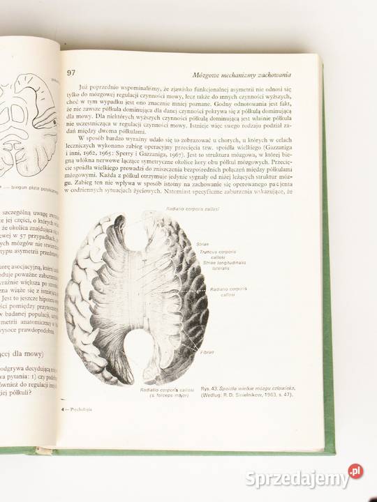 Psychologia Tadeusz Tomaszewski twarda Kraków