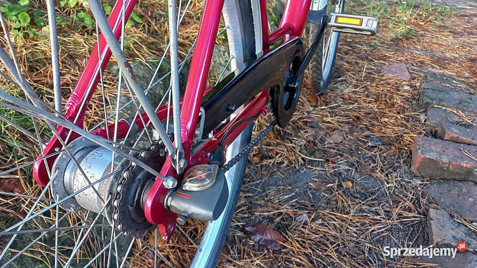 Alu Rower Miejski Damski Prince Damka Łabędź Wołów