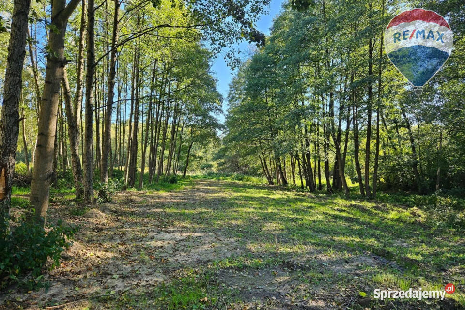 Działka budowlana 2494m2 z lasem rzeczką utwardzona Musuły