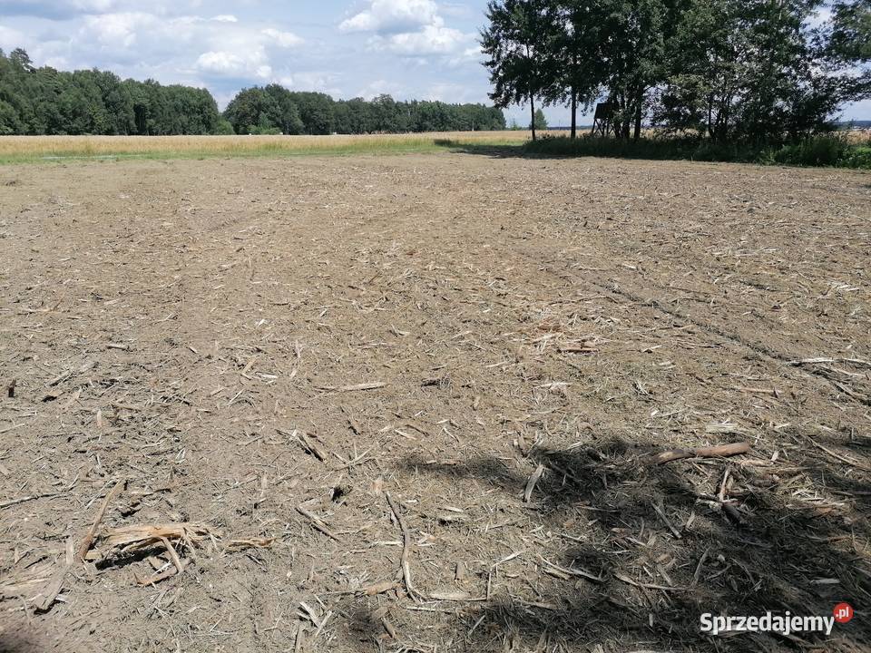 Mulczer leśny mulczowanie karczowanie Strzelce Opolskie