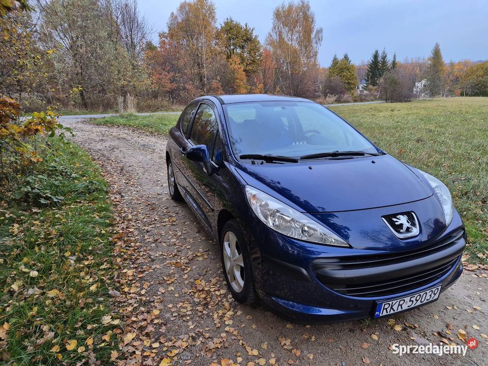 Peugeot 207 Potok
