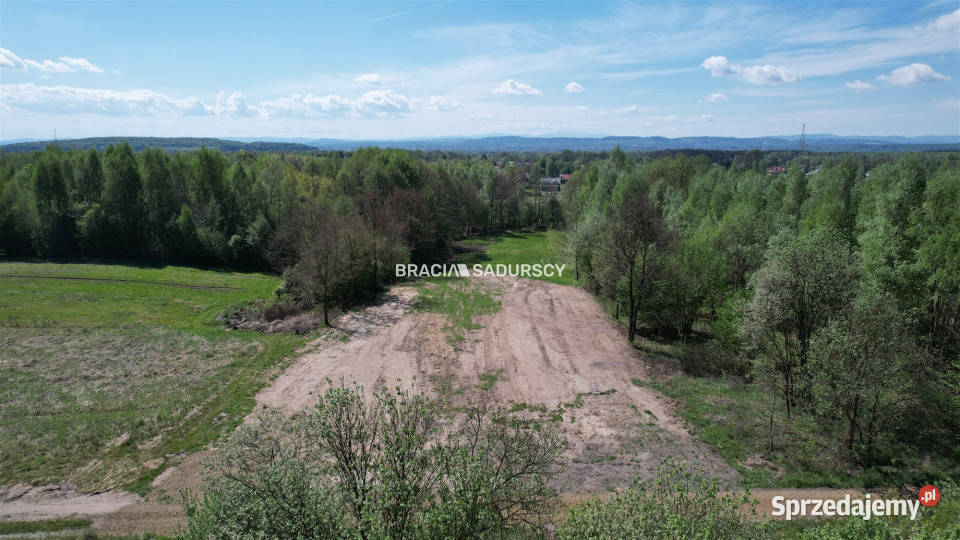 sprzedaży działki 5290m2 Przeginia Narodowa małopolskie