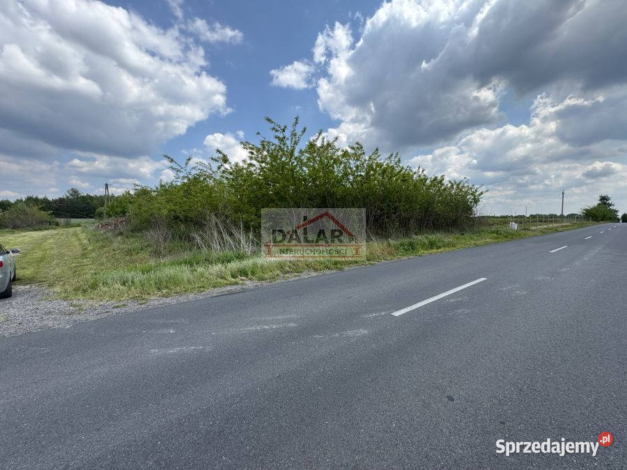 Do sprzedaży grunt Janów 16900m2