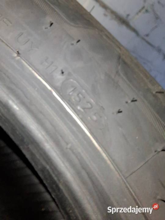 Felgiopony małopolskie Olkusz