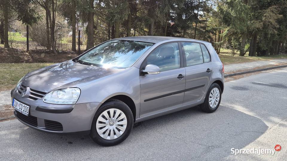 VW GOLF V 14B MPI OPŁACONY Z NIEMIEC KLIMA świętokrzyskie Końskie