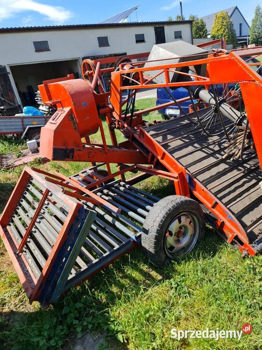 Kombajn do aroniiporzeczki wielkopolskie Pleszew