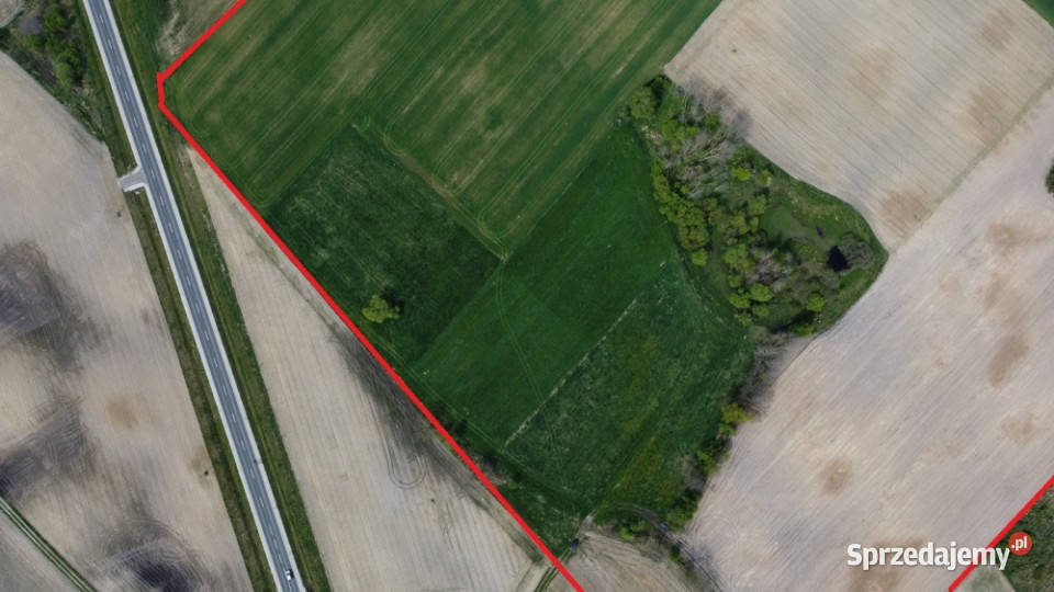 11 ha w jednym kawałku foremna działka 8 Lipna Sprzedaż Suradowo