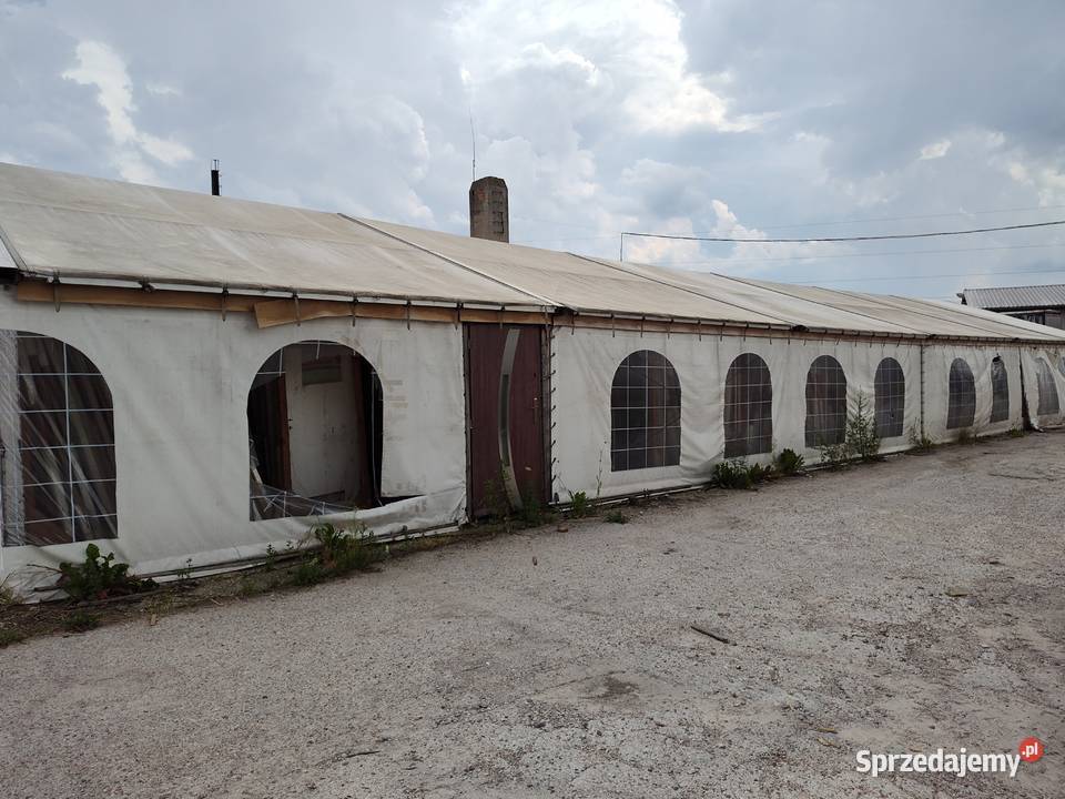 Syndyk sprzedaje namiot plandekowy byłym Pozostałe Iława