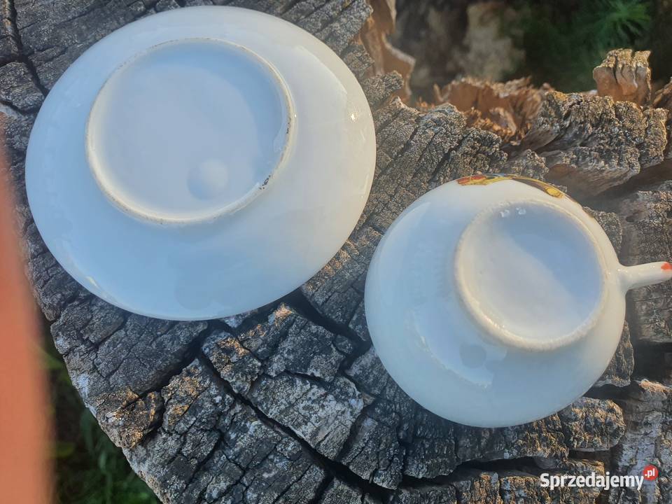 Stara filiżanka Ciechanowiec