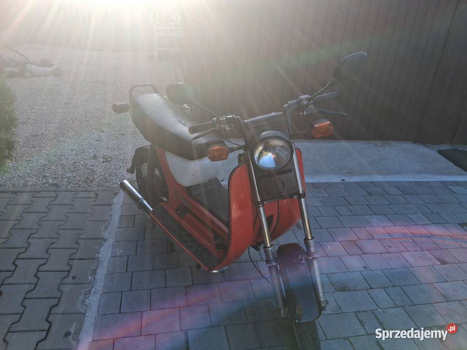 Simson Oleśnica