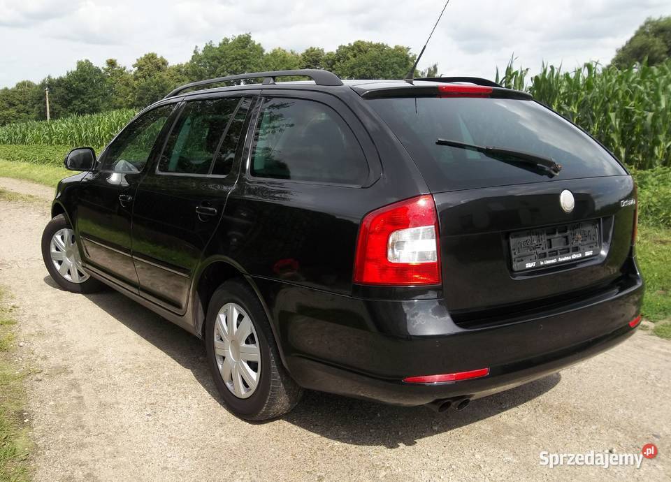 Skoda Octavia 19 TDI 105 Octavia Iława sprzedam
