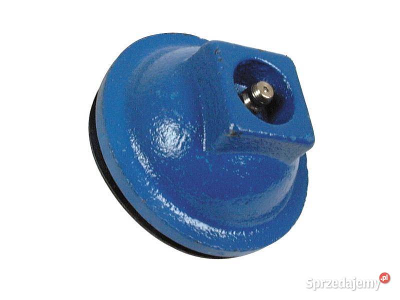 Zatyczka piasty 81811270 B53853 S65131 Ford Tyczyn sprzedam