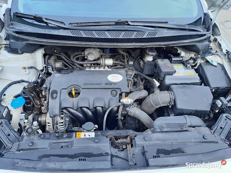 Kia Ceed KIA Ceed II 2014 benzynagaz LPG salon Zarejestrowany w Polsce Cee'd Gdańsk