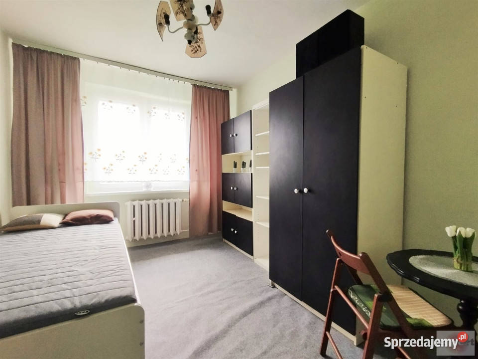 Mieszkanie do wynajęcia 4785m2 Łódź sprzedam