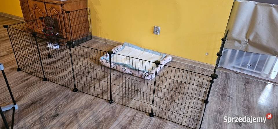 Klatka gryzoni kojec wybieg świnki morskiej DIY Pniewy