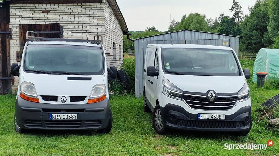 Renault Trafic 19 Dci 2006 L2h1 Renault Wolbrom