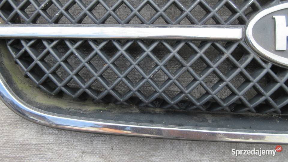 KIA CARNIVAL GRILL ATRAPA CHŁODNICY Ruda Śląska