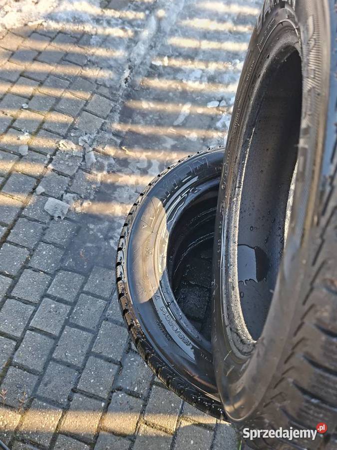 Opony DAYTON DW 510 1556514 R 75 T bieżnik 6 mm Samochodowe