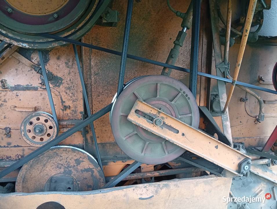 Sprzedam bizona ZO56 Boczki Chełmońskie