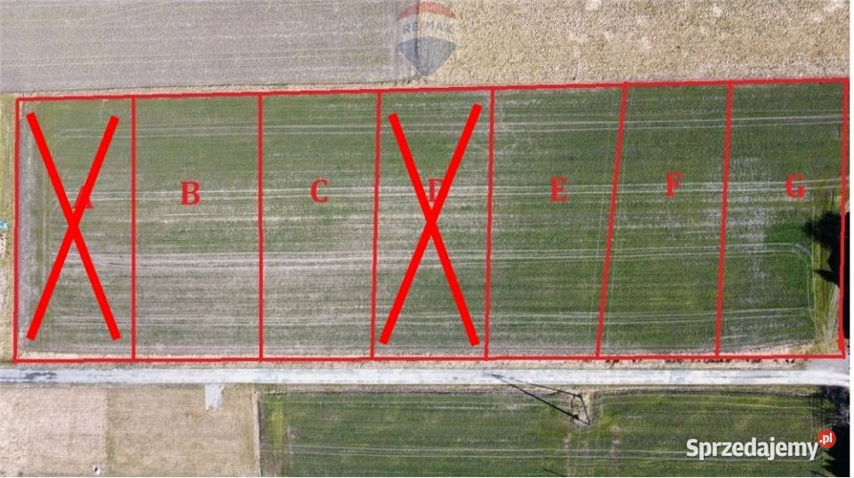 Działka budowlana w Zaborzu budowlana śląskie Zaborze