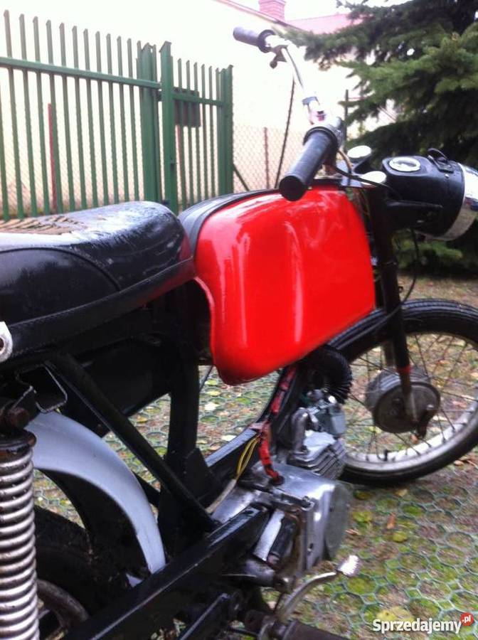 Jawka mustang tanio Pionki